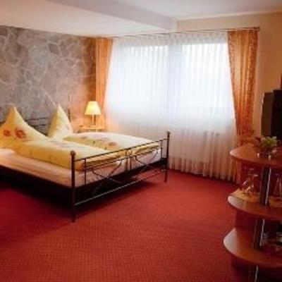 фото отеля Hotel Seeblick Bensheim