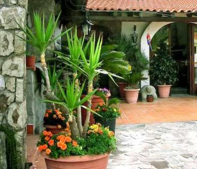 фото отеля Punto Azzurro Resort Forio
