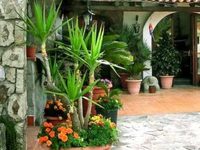 Punto Azzurro Resort Forio