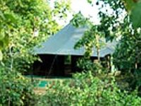 Pench Jungle Camp