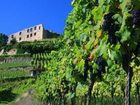 фото отеля Goethe Hotel Staufen im Breisgau