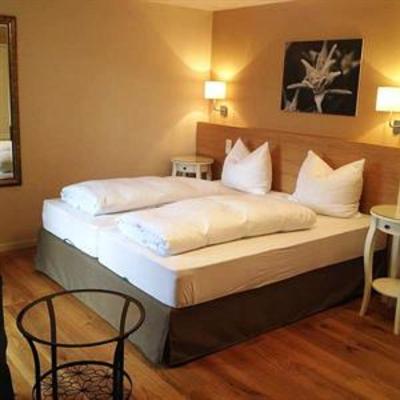 фото отеля Alpenhof Restaurant & Hotel Oberaudorf