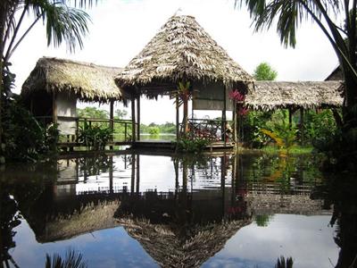 фото отеля Amazon Rainforest Lodge