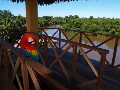 фото отеля Amazon Rainforest Lodge