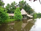 фото отеля Amazon Rainforest Lodge