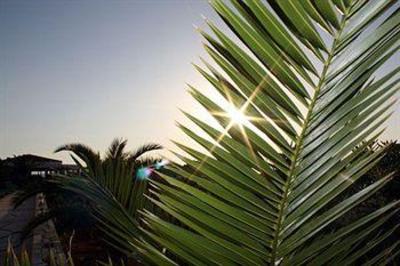 фото отеля Kavos Hotel Akrotiri (Crete)