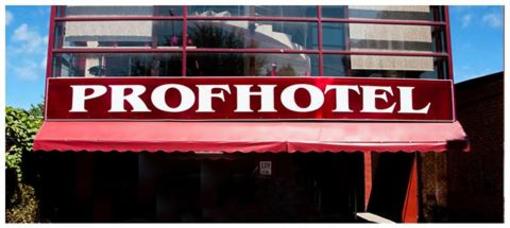 фото отеля Prof Hotel