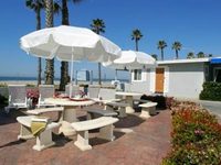 Blue Whale Resort