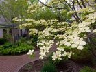 фото отеля Hampton Inn & Suites Rochester/Victor