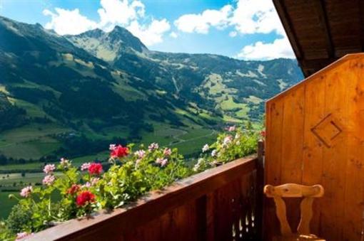фото отеля Appartements Hartlbauer Dorfgastein