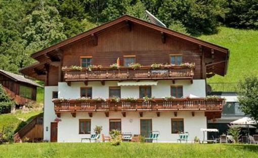 фото отеля Appartements Hartlbauer Dorfgastein