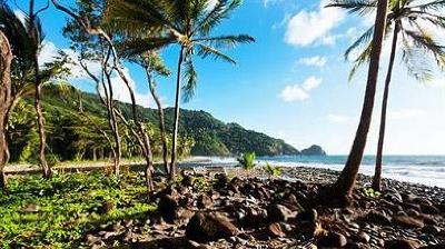 фото отеля Rosalie Bay Resort Roseau (Dominica)
