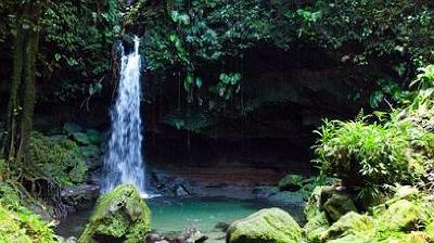 фото отеля Rosalie Bay Resort Roseau (Dominica)