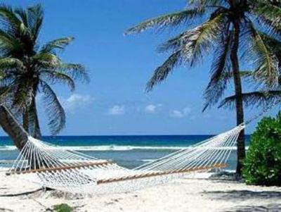 фото отеля Hibiscus Beach Resort Saint Croix