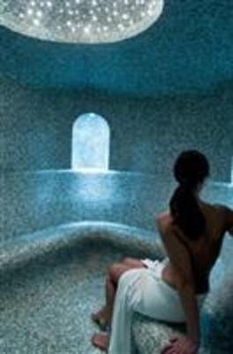 фото отеля Chateau Saint Martin & Spa Vence