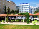 фото отеля Blue Fish Hotel Alanya