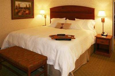 фото отеля Hampton Inn & Suites Pocatello