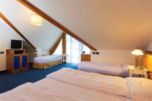 фото отеля AlpHoliday Dolomiti Wellness & Fun Hotel