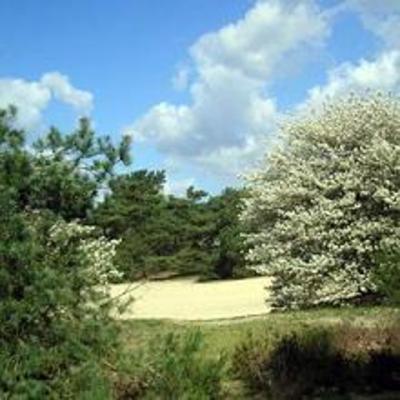 фото отеля Golden Tulip Midden Drenthe