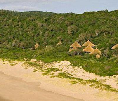 фото отеля Thonga Beach Lodge