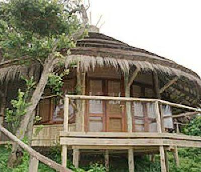 фото отеля Thonga Beach Lodge