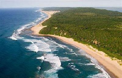 фото отеля Thonga Beach Lodge