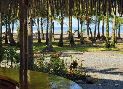 фото отеля Canciones Del Mar Hotel Jaco