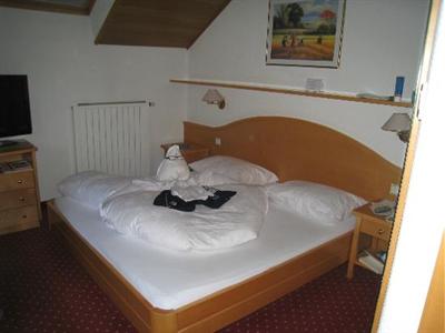 фото отеля Hotel Schwarzenstein