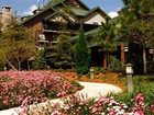 фото отеля Disney's Wilderness Lodge