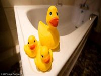 Egerton House Hotel Bolton