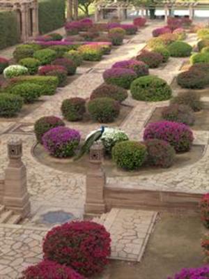 фото отеля Umaid Bhawan Palace Hotel Jodhpur
