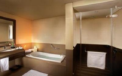 фото отеля Park Arjaan by Rotana Abu Dhabi