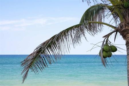 фото отеля Hilton Tampa Airport Westshore