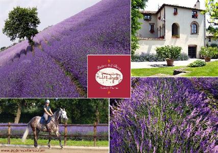 фото отеля Podere dell'Arco Country Charme