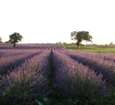 фото отеля Podere dell'Arco Country Charme
