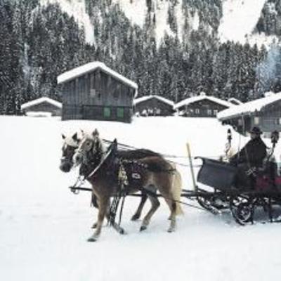 фото отеля Bauernhof Almhof Lingg