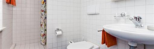 фото отеля Falken am Rotsee Hotel Ebikon
