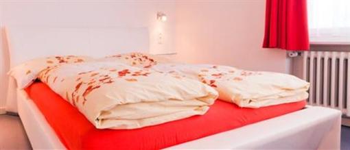 фото отеля Falken am Rotsee Hotel Ebikon