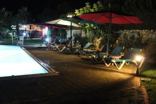 фото отеля Hotel Dendrolivano