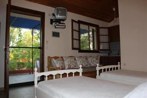 фото отеля Hotel Dendrolivano