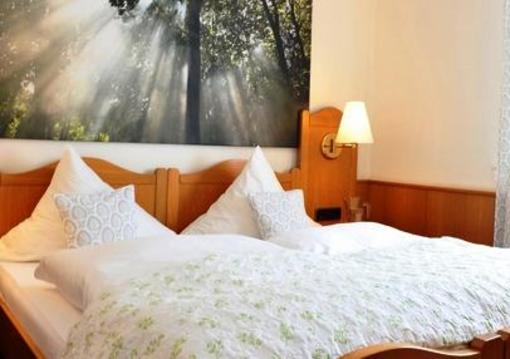фото отеля Forellenhof Hotel Bad Endbach