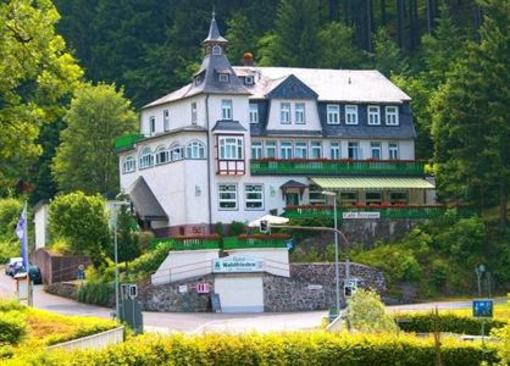 фото отеля Flair Hotel Waldfrieden Meuselbach-Schwarzmuhle