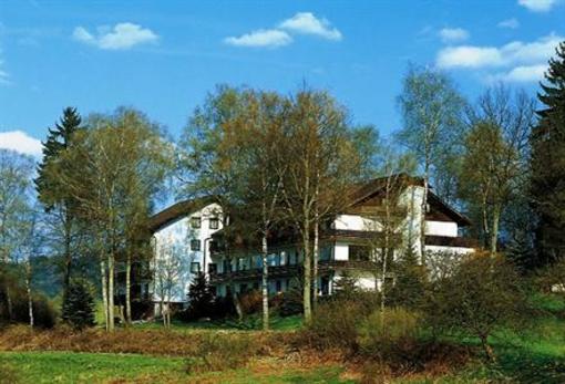 фото отеля Hotel Restaurant Birkenhof Wald-Michelbach