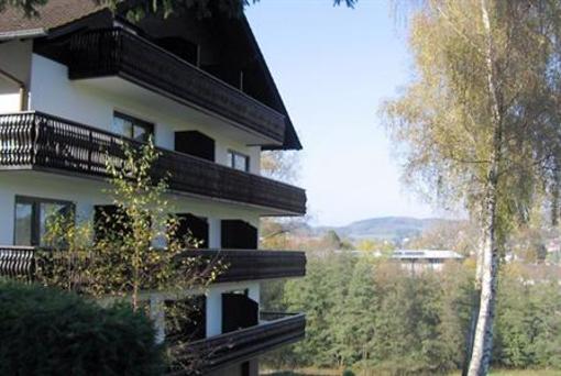 фото отеля Hotel Restaurant Birkenhof Wald-Michelbach