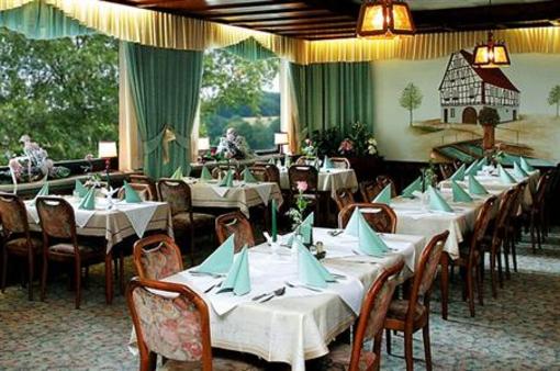 фото отеля Hotel Restaurant Birkenhof Wald-Michelbach