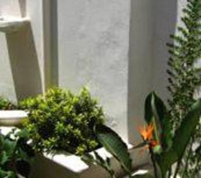 фото отеля Carpe Diem Bed & Breakfast