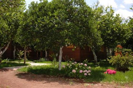 фото отеля Mercan Bungalow