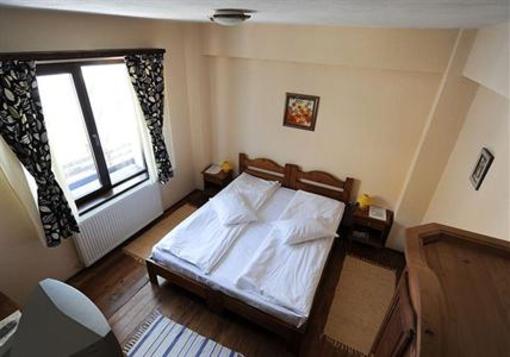 фото отеля Pension Podul Turcului