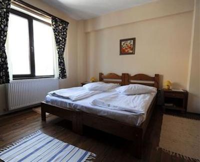 фото отеля Pension Podul Turcului