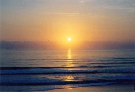 фото отеля Staybridge Suites Jacksonville (Florida)